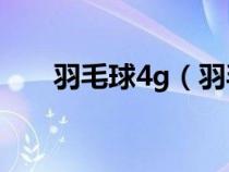 羽毛球4g（羽毛球男生4u好还是3u）