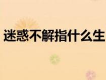 迷惑不解指什么生肖动物（迷惑不解指什么）
