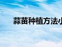 蒜苗种植方法小学生（蒜苗种植方法）