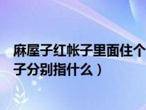 麻屋子红帐子里面住个白胖子打一水果（麻屋子红帐子白胖子分别指什么）