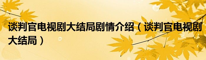 谈判官电视剧大结局剧情介绍（谈判官电视剧大结局）