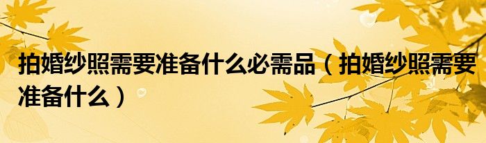 拍婚纱照需要准备什么必需品（拍婚纱照需要准备什么）