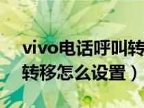 vivo电话呼叫转移怎么设置方法（电话呼叫转移怎么设置）