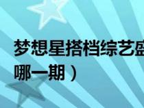 梦想星搭档综艺盛典（梦想星搭档谢娜何炅在哪一期）