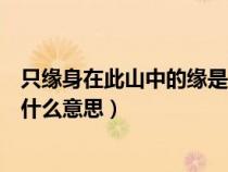 只缘身在此山中的缘是什么意思思（只缘身在此山中的缘是什么意思）