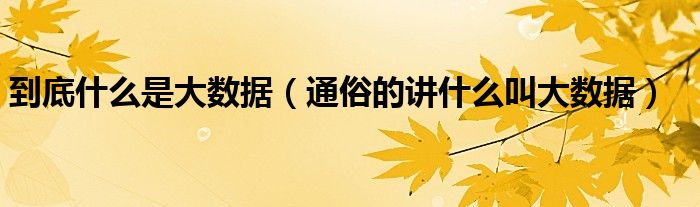 到底什么是大数据（通俗的讲什么叫大数据）