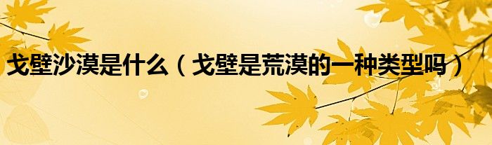 戈壁沙漠是什么（戈壁是荒漠的一种类型吗）