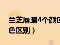 兰芝唇膜4个颜色区别大吗（兰芝唇膜4个颜色区别）