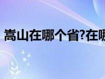 嵩山在哪个省?在哪个地方?（嵩山在哪个省）