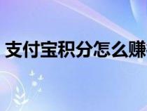 支付宝积分怎么赚得快（支付宝积分怎么赚）