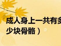 成人身上一共有多少块骨骼（成年人身上有多少块骨骼）