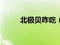 北极贝咋吃（北极贝做熟怎么吃）