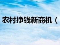 农村挣钱新商机（农村不起眼的商机有哪些）