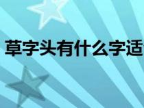 草字头有什么字适合起名（草字头有什么字）