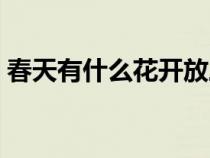 春天有什么花开放三年级（春天有什么花开）