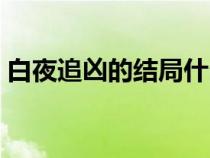 白夜追凶的结局什么意思（白夜追凶的结局）
