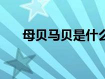 母贝马贝是什么（母贝和马贝的区别）