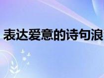 表达爱意的诗句浪漫诗句（表达爱意的诗句）