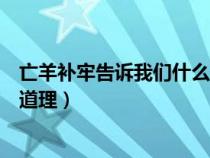 亡羊补牢告诉我们什么道理二年级（亡羊补牢告诉我们什么道理）