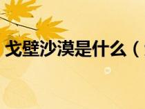 戈壁沙漠是什么（戈壁是荒漠的一种类型吗）