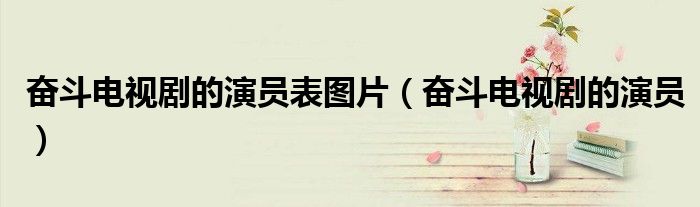 奋斗电视剧的演员表图片（奋斗电视剧的演员）