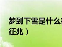 梦到下雪是什么征兆 男性（梦到下雪是什么征兆）
