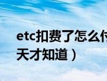 etc扣费了怎么付费（etc怎么扣费怎么要几天才知道）