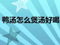 鸭汤怎么煲汤好喝（怎么煲鸭汤好吃又营养）
