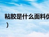 粘胶是什么面料优缺点图片（粘胶是什么面料）
