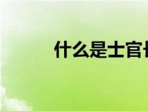 什么是士官长?（什么是士官长）