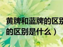 黄牌和蓝牌的区别是什么摩托车（黄牌和蓝牌的区别是什么）