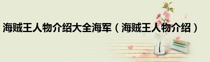 海贼王人物介绍大全海军（海贼王人物介绍）