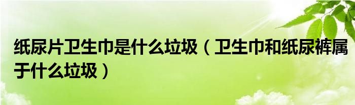纸尿片卫生巾是什么垃圾（卫生巾和纸尿裤属于什么垃圾）