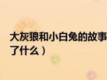 大灰狼和小白兔的故事内容（大灰狼和小白兔的故事主要讲了什么）