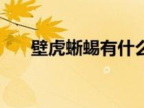 壁虎蜥蜴有什么区别（壁虎是蜥蜴吗）