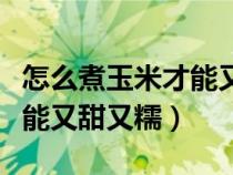 怎么煮玉米才能又甜又糯高原（怎么煮玉米才能又甜又糯）