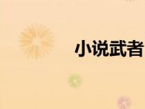 小说武者（武者杨念结局）