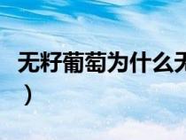 无籽葡萄为什么无籽（无籽葡萄为什么不能吃）