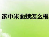 家中米面蛾怎么根除（米面蛾怎么彻底清除）