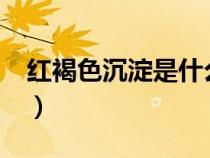 红褐色沉淀是什么?（红褐色沉淀是什么物质）