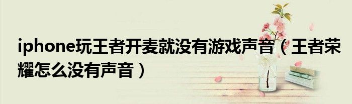 iphone玩王者开麦就没有游戏声音（王者荣耀怎么没有声音）