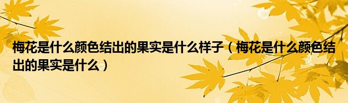 梅花是什么颜色结出的果实是什么样子（梅花是什么颜色结出的果实是什么）