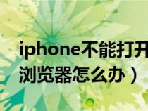 iphone不能打开浏览器（苹果手机不能打开浏览器怎么办）