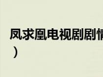 凤求凰电视剧剧情看不懂（凤求凰电视剧剧情）