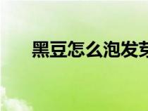 黑豆怎么泡发芽了（黑豆怎么泡发芽）
