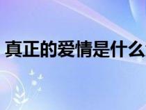 真正的爱情是什么滋味（真正的爱情是什么）