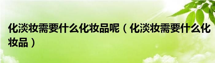 化淡妆需要什么化妆品呢（化淡妆需要什么化妆品）