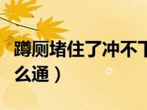蹲厕堵住了冲不下去怎么办（蹲式厕所堵了怎么通）