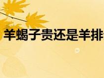 羊蝎子贵还是羊排贵（羊蝎子是啥地方的肉）