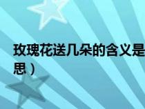 玫瑰花送几朵的含义是什么（送玫瑰花几朵分别代表什么意思）